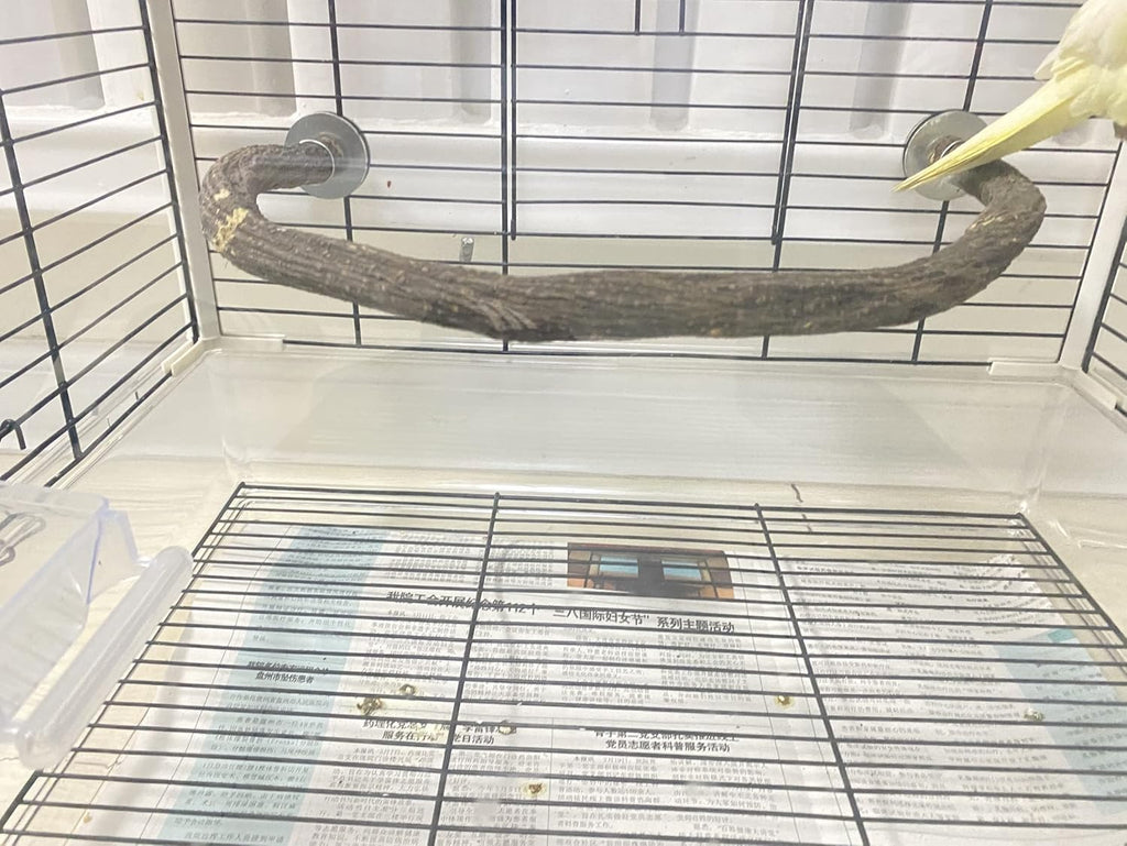 Parrot Perch Stand Bird Cage Stand Pole Natural Wild Grape Stick Grinding Paw Cage Accessories for Parakeet Cockatiels Budgies Conure Lovebirds Platform (U-Shaped)