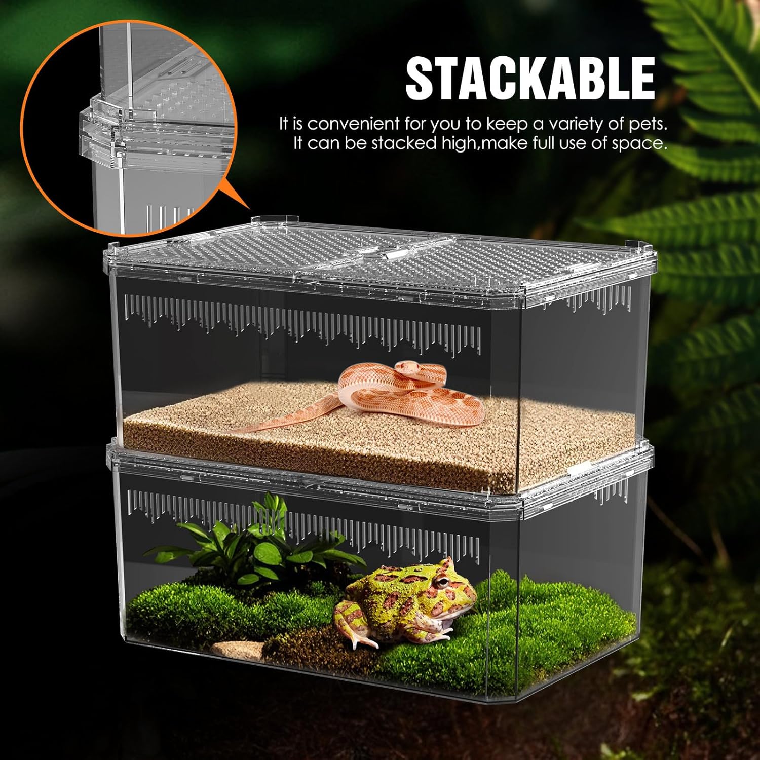 Breathable and Secure Reptile Tank with high Transparency - Ideal Container House for Hermit Crab, Tarantula Enclosure, Turtle Tank or Jumping Spider Habitat (M)