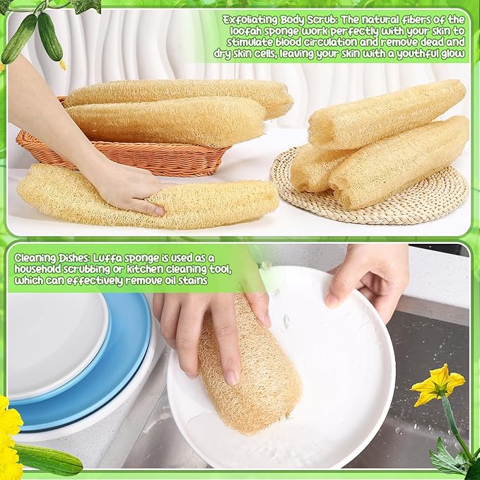 6 Pack Natural Loofah Sponge 15.7 Inch for Kitchen Bath & Body Scrub Organic Exfoliating Sponge for Dishes Skin Men Women