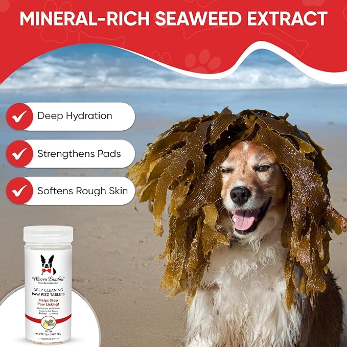Warren London Deep Cleaning Paw Soak & Spray Combo | Soothes Itchy Paws with Seaweed, Tea Tree Oil & Aloe Vera | Anti-Lick Treatment | 12 Tablets + Deep Clean Paw Spray | Groomer-Approved Relief