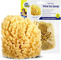 Baby Buddy Baby Bath 4in Yellow Sea Sponge, Absorbent Natural Sea Sponge, Soft on Tender Skin, Biodegradable, Hypoallergenic, Bath Accessories for Bathing, 1 Pack