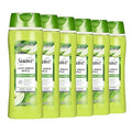 Suave Moisturizing Body Wash, with Juicy Apple and Vitamin E Extract, No Parabens, No Phtahaltes, 18 Oz Pack of 6