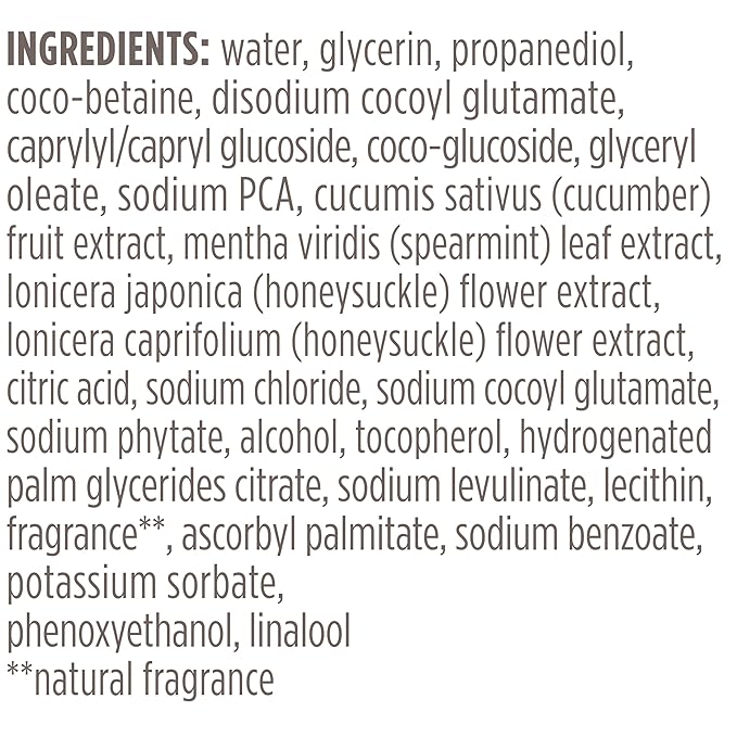 Burt's Bees Refreshing Foaming Face Cleanser and Face Wash with Cucumber and Mint,4.8 Fluid,(Pack of 2)