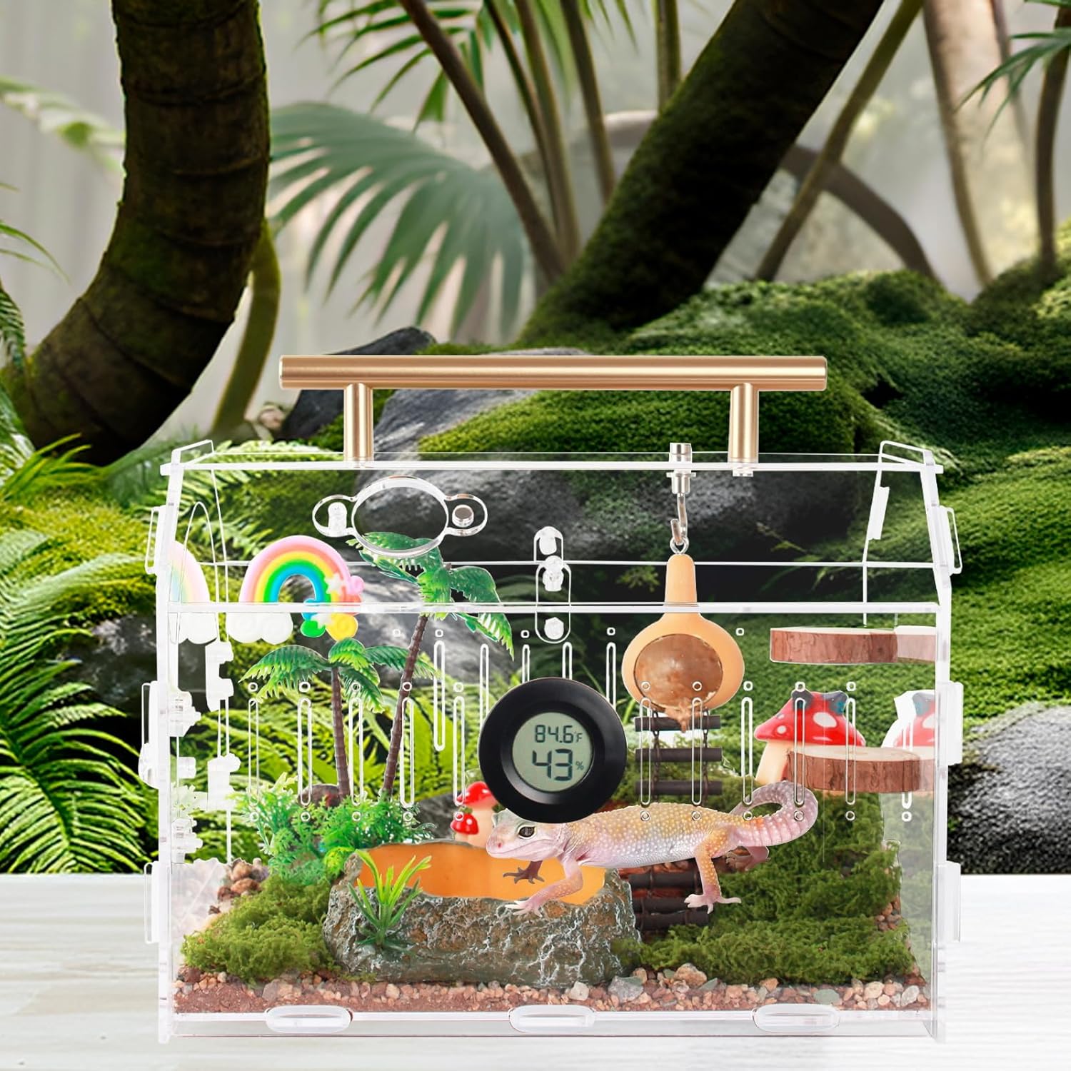 Acrylic Tarantula Enclosure – Escape-Proof Reptile Terrarium with Magnetic Lock, Front Opening for Easy Cleaning, Ideal for Jumping Spiders, Hermit Crabs & Small Pets