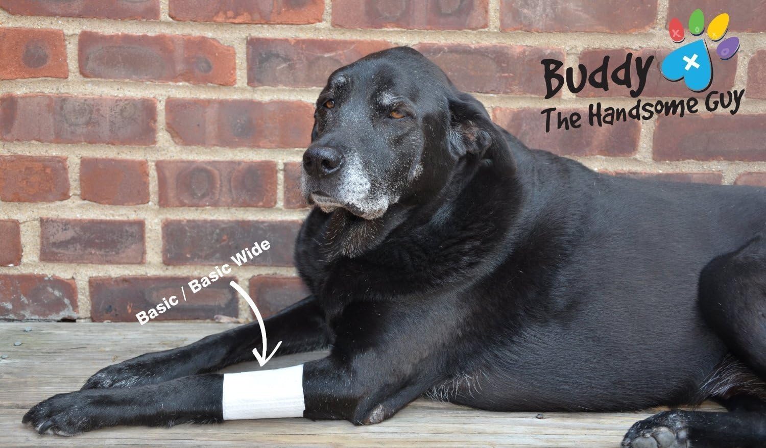 Basic Leg Bandages for Dogs, Cats and Other Pets First Aid Non-Adhesive Fur Friendly - Value 10 Pack (5 Standard, 5 Wide) by PawFlex (XXX-Small)