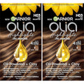 Garnier Hair Color Olia Ammonia-Free Permanent Hair Dye, H03 Highlights for Brunettes, 2 Count (Packaging May Vary)