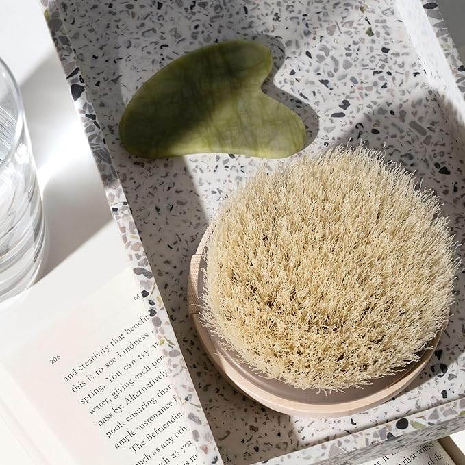 EcoTools Dry Body Brush,for Post Shower & Bath Skincare Routine,Removes Dirt and Promotes Blood Circulation,(Pack of 12)