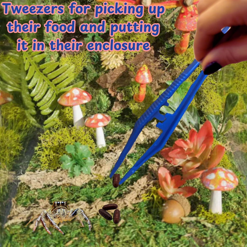 Jumping Spider Enclosure Starter Kit, Tarantula Enclosure Kit, Jumping Spider Accessories, Snail Terrarium Kit, Moss Growing Tool Set, Mini Plant Grow Tool, Reptile Tank Supplies for Habitat (Blue, S)