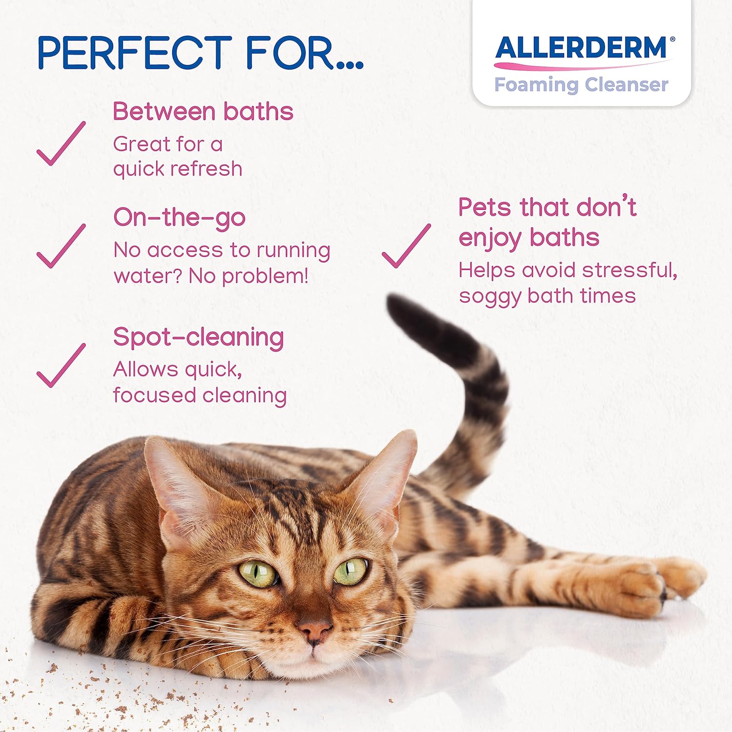 ALLERDERM Foaming Cleanser- Rinse-Free Waterless Micellar Foam for Dogs and Cats with Sensitive Skin by Virbac
