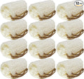 100% Natural Loofah Exfoliating Body and Face Sponge Scrubber for Skin Care in Bath Spa Shower - Pack of 12 - Eco-Friendly and Biodegradable Shower Luffa
