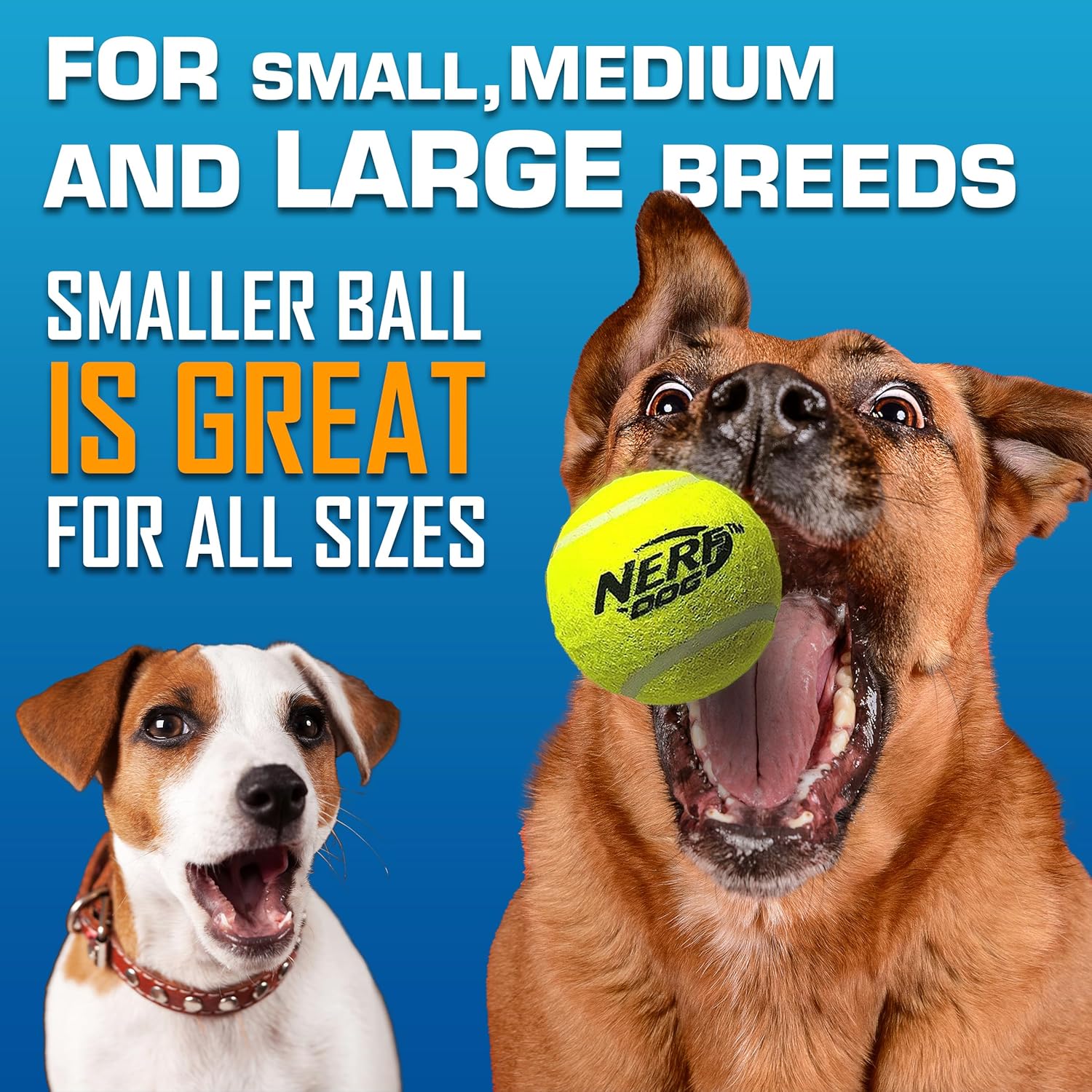 Nerf Dog Tennis Ball Blaster Dog Toy Gift Set, Tennis Ball Dog Fetch Toy Launches up to 50 ft, Dog Ball Thrower for All Breeds Includes Translucent Blue Tennis Ball Launcher and 3 Dog Tennis Balls